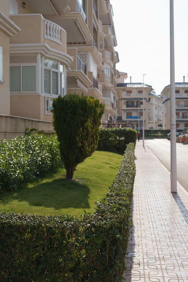 Apartment Sunny La Mata La Mata  Dış mekan fotoğraf