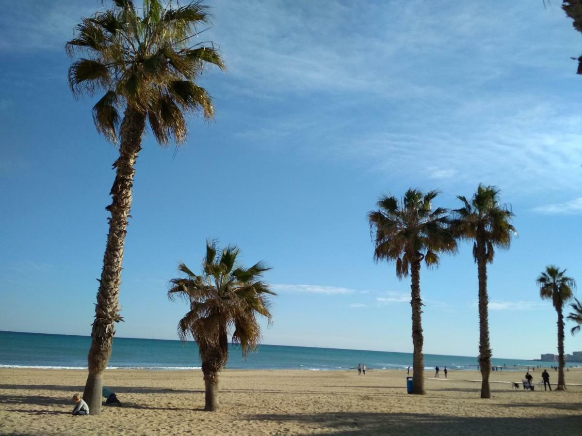Apartment Sunny La Mata La Mata  Dış mekan fotoğraf